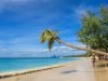 Les meilleures activités à faire en Martinique