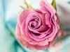 livraison de fleur