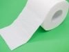 Tout ce que vous devez savoir sur les toilettes sèches