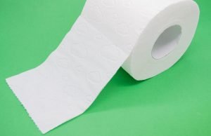 Tout ce que vous devez savoir sur les toilettes sèches