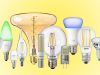 ampoules LED