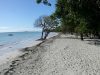5 excellentes raisons de partir en Guadeloupe