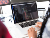 Comment devenir développeur web freelance ou en agence ?