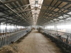 Entreprise mangeoire ferme : tendances et innovations dans l’élevage