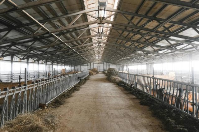 202602_31 Entreprise mangeoire ferme tendances et innovations dans l’élevage